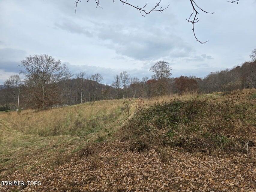 Photo #6: Tbd Trents Chapel Road