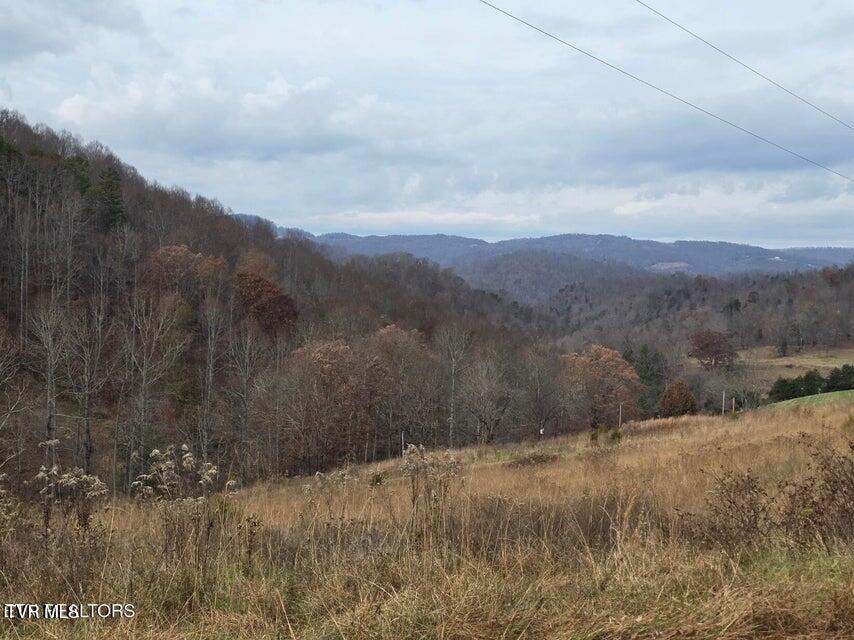 Photo #8: Tbd Trents Chapel Road