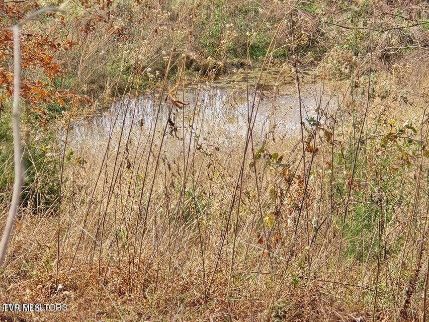 Photo #11: Tbd Trents Chapel Road