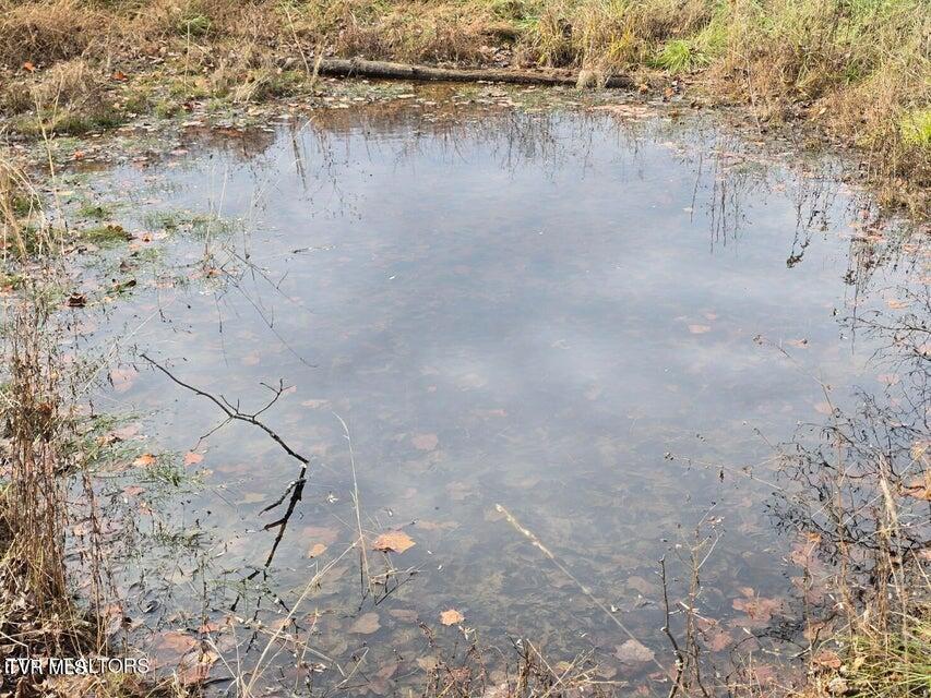 Photo #12: Tbd Trents Chapel Road