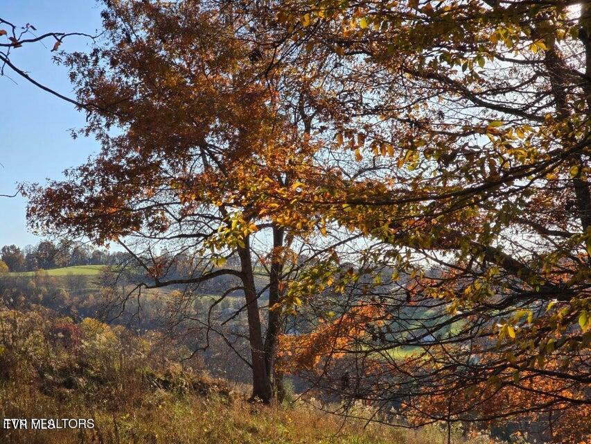 Photo #13: Tbd Trents Chapel Road