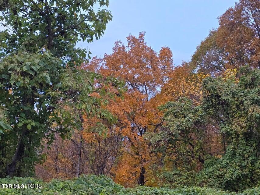 Photo #14: Tbd Trents Chapel Road