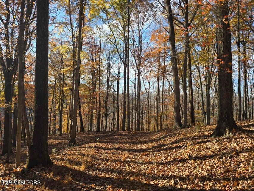 Photo #15: Tbd Trents Chapel Road