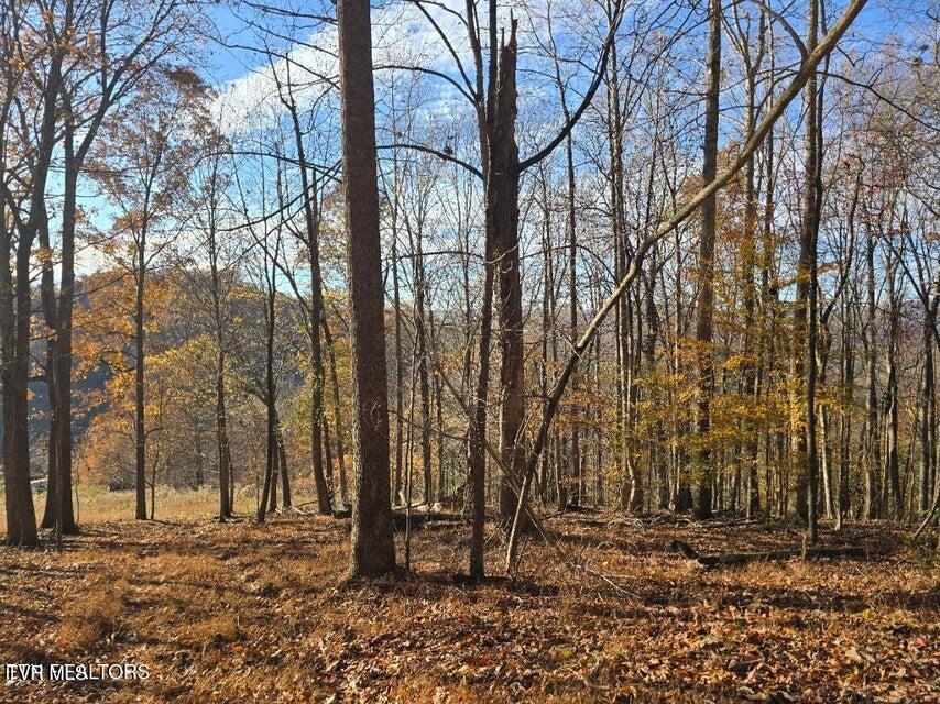 Photo #16: Tbd Trents Chapel Road