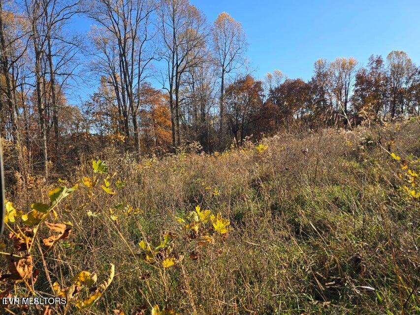 Photo #17: Tbd Trents Chapel Road