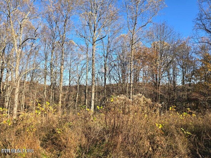 Photo #20: Tbd Trents Chapel Road