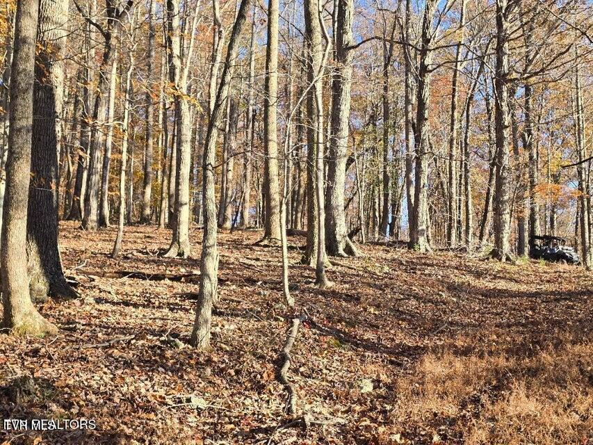 Photo #22: Tbd Trents Chapel Road