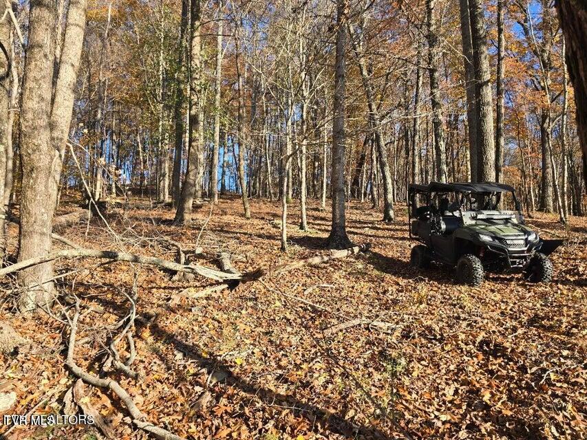 Photo #24: Tbd Trents Chapel Road