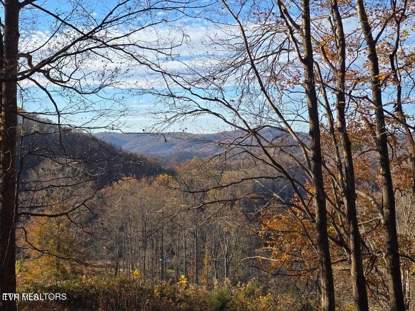 Photo #26: Tbd Trents Chapel Road