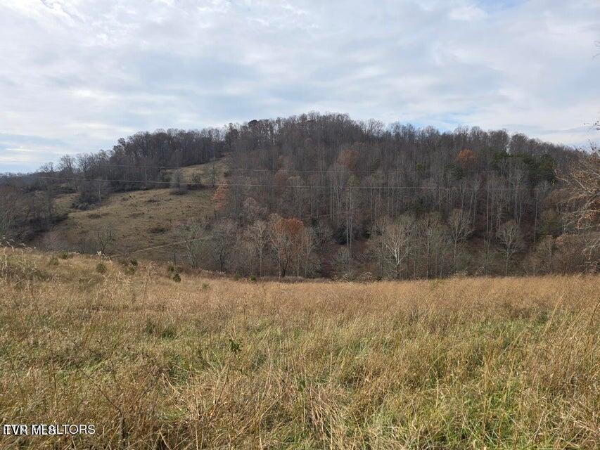 Photo #28: Tbd Trents Chapel Road