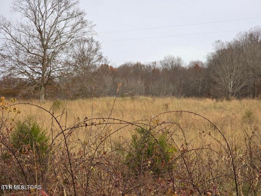 Photo #29: Tbd Trents Chapel Road