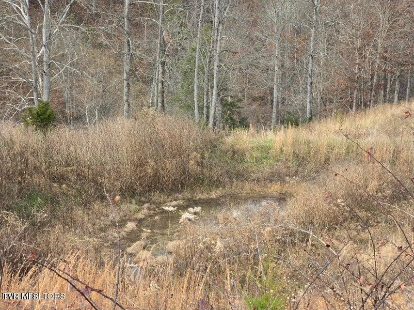 Photo #30: Tbd Trents Chapel Road