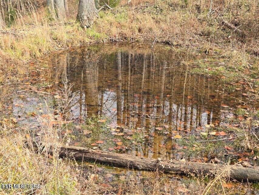 Photo #31: Tbd Trents Chapel Road