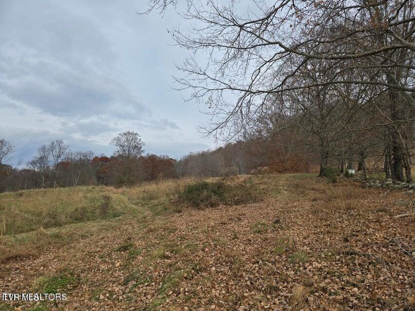 Photo #32: Tbd Trents Chapel Road