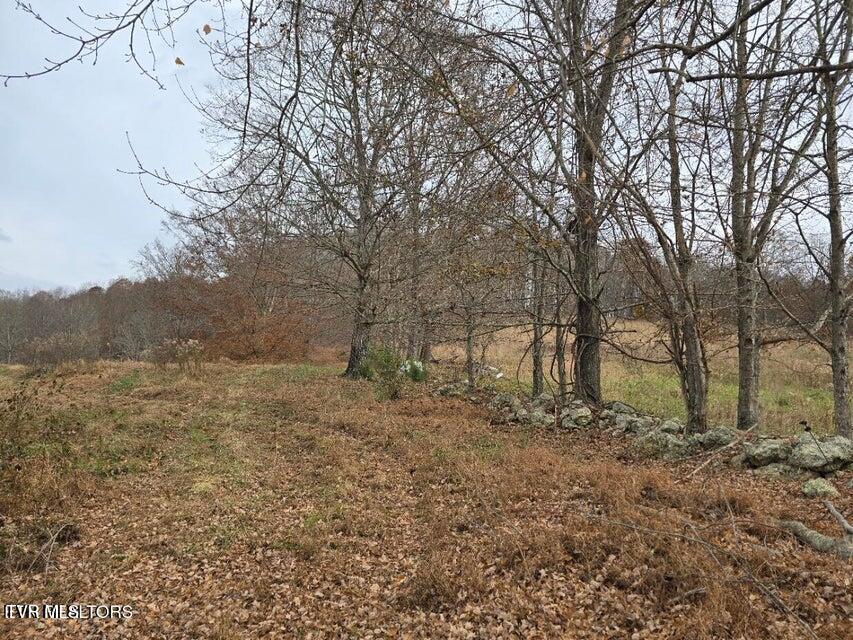 Photo #38: Tbd Trents Chapel Road