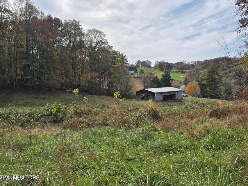 Photo #4: 201 Elihu Road