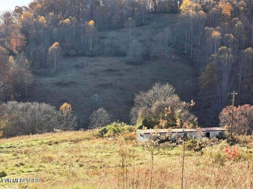 Photo #5: 201 Elihu Road