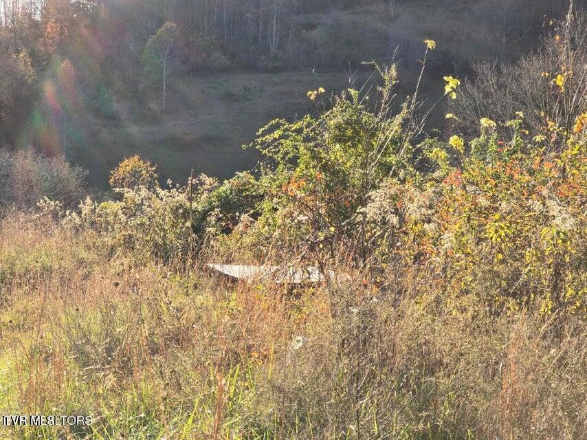 Photo #6: 201 Elihu Road