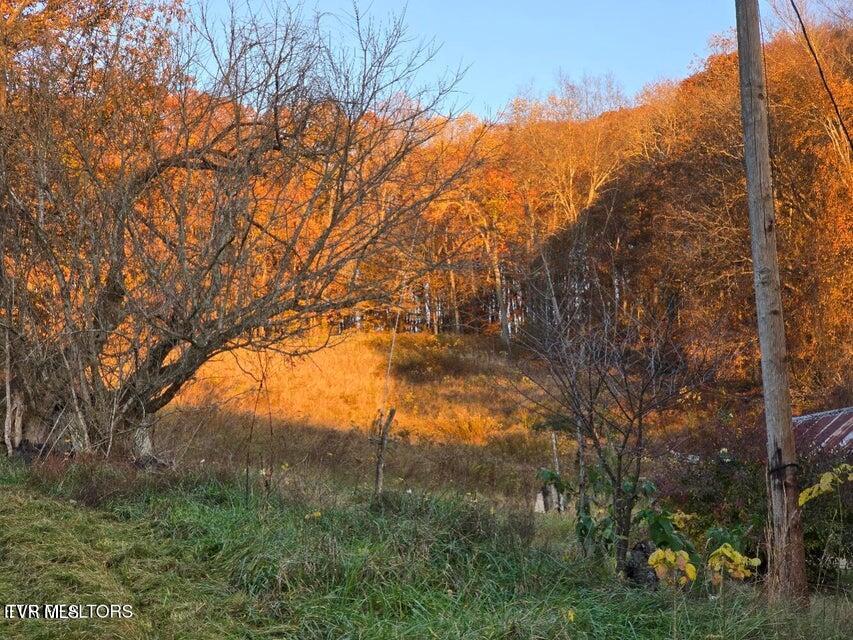 Photo #8: 201 Elihu Road