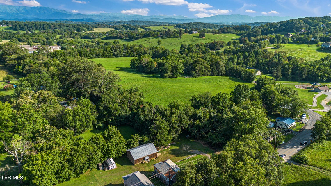 Photo #4: Tbd Mckee Street