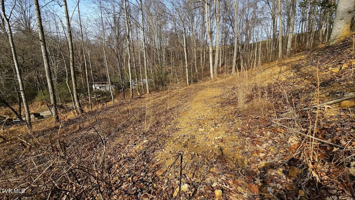 Photo #45: 290 Spyglass Drive