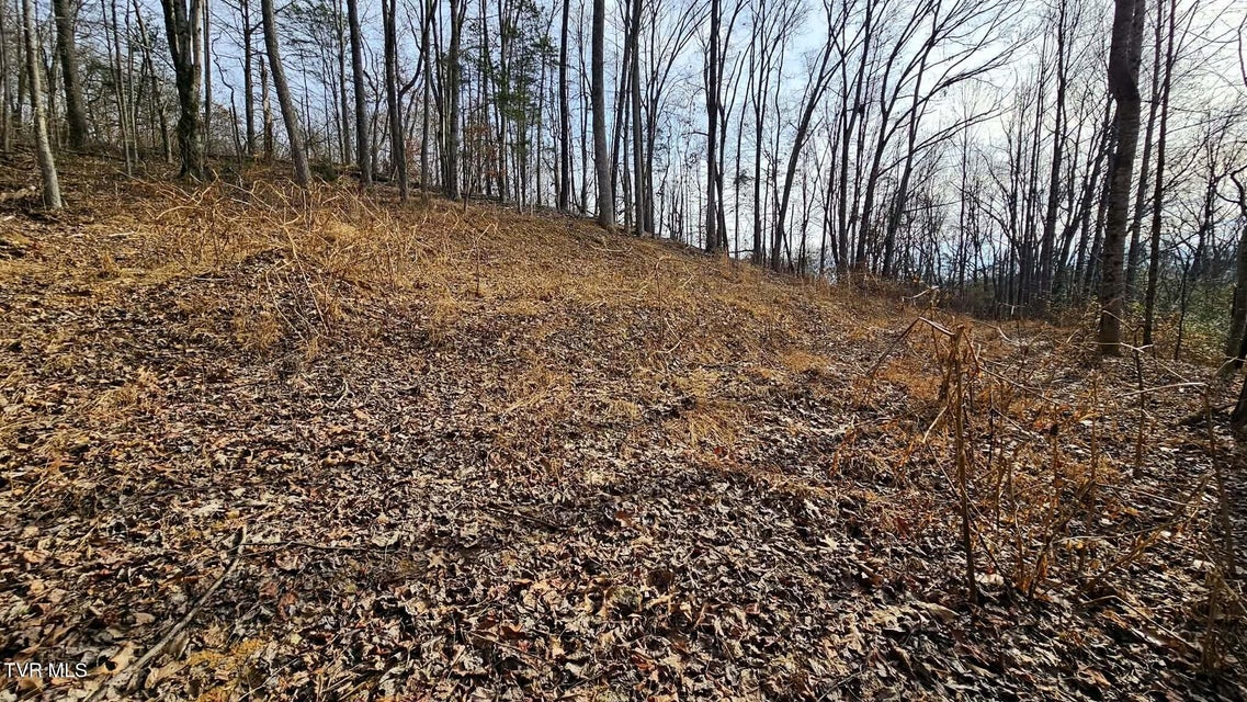 Photo #46: 290 Spyglass Drive