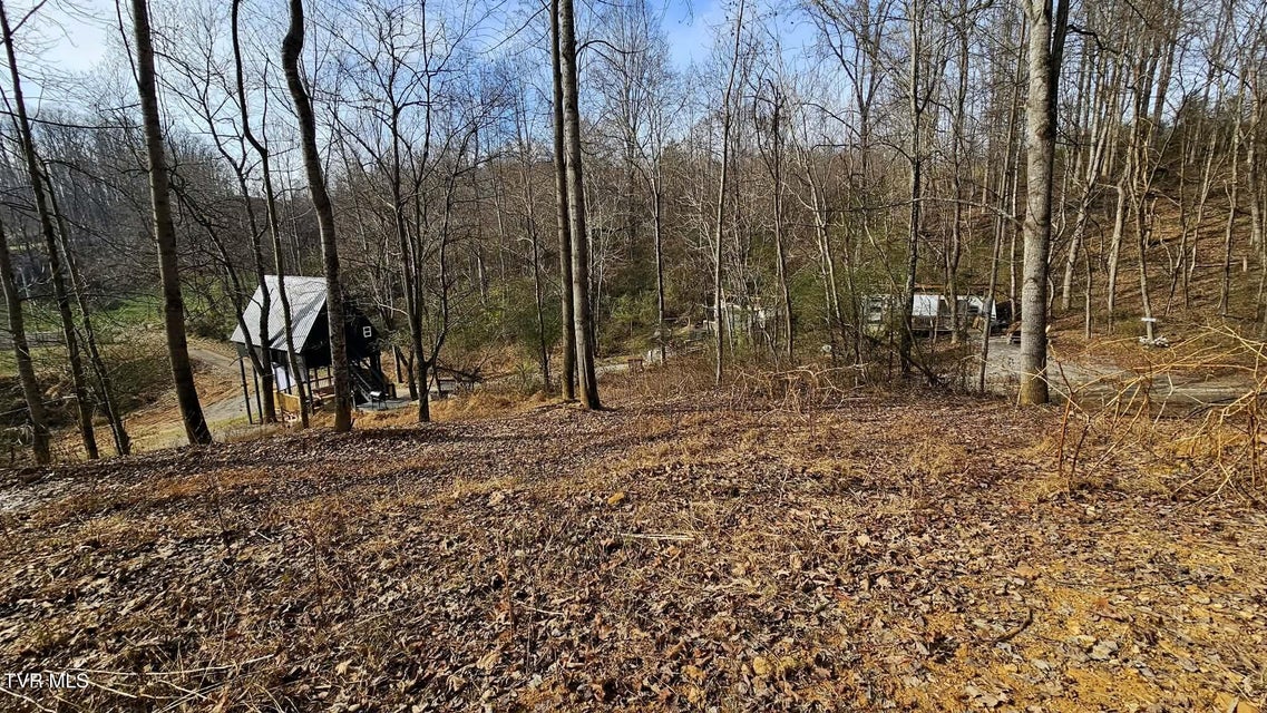 Photo #47: 290 Spyglass Drive