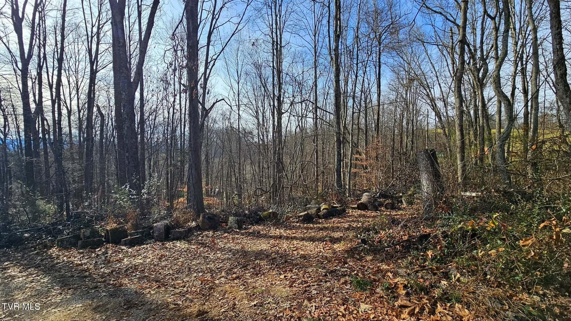 Photo #58: 290 Spyglass Drive