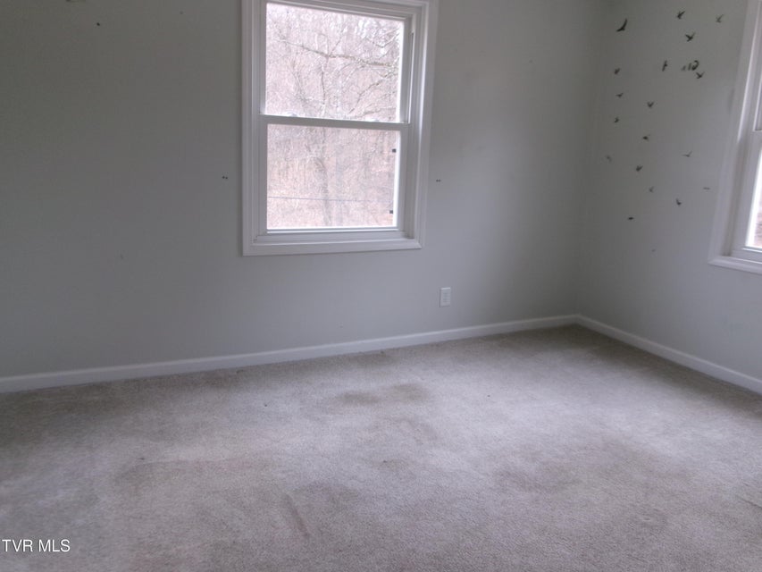 Photo #15: 107 Ripley Street