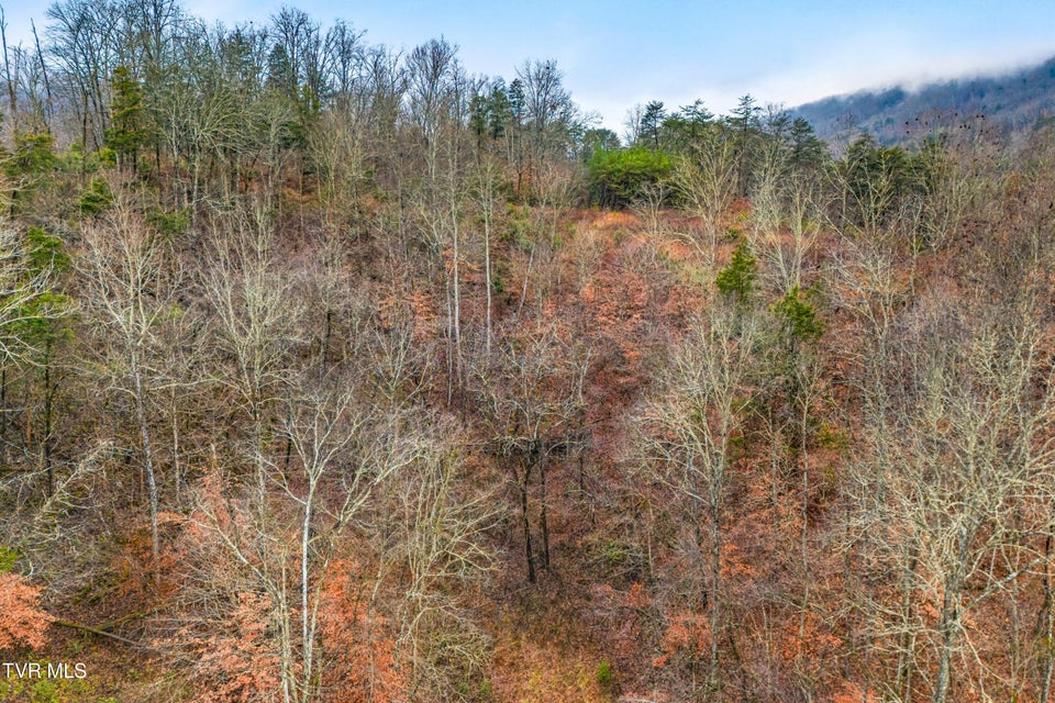 Photo #23: 7593 Cracker Neck Road