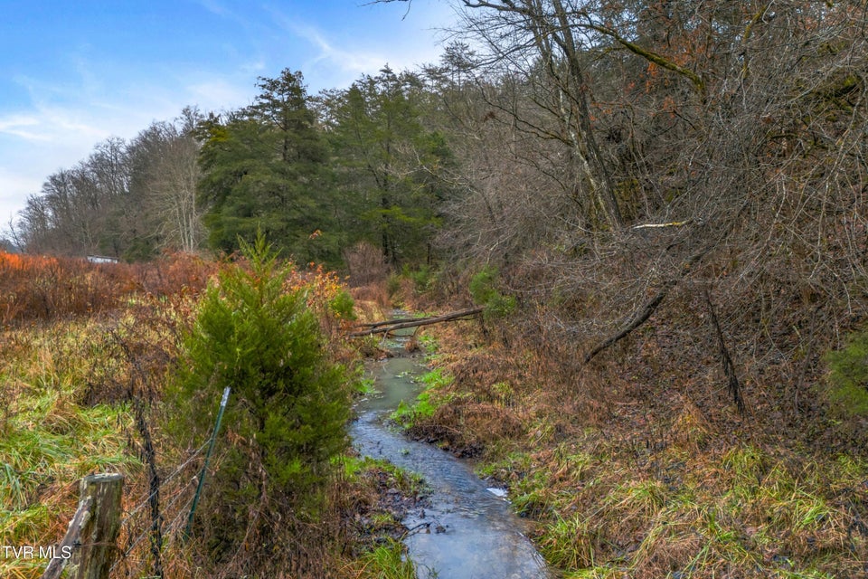 Photo #28: 7593 Cracker Neck Road