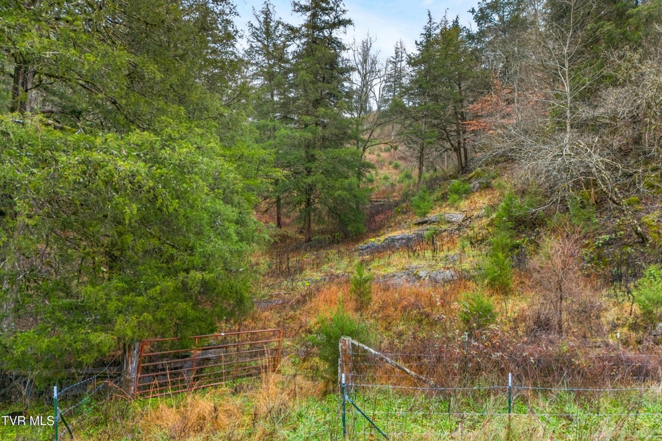 Photo #29: 7593 Cracker Neck Road