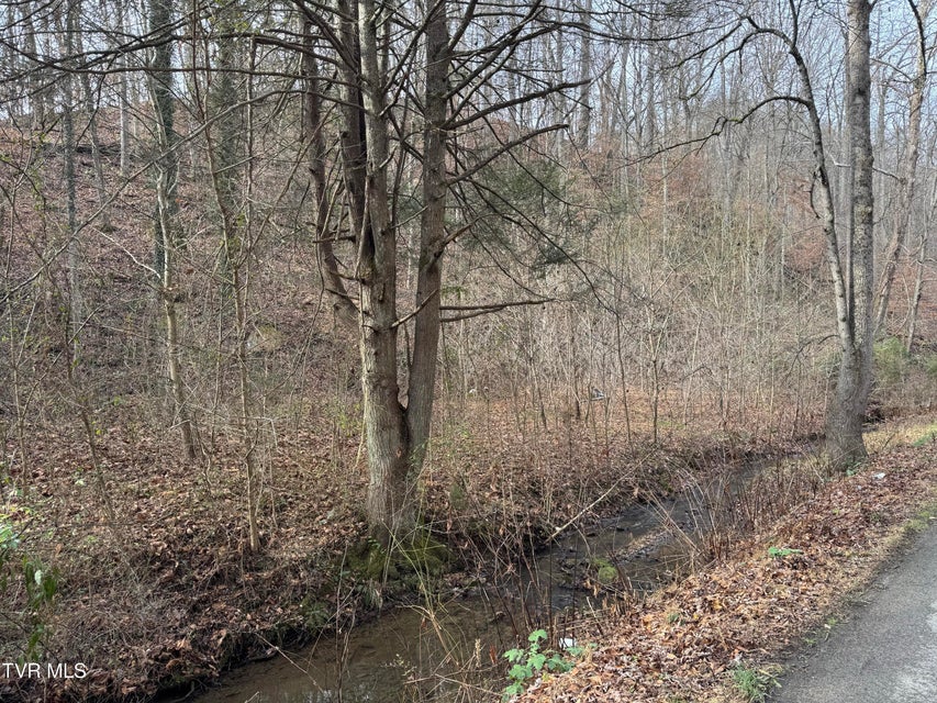 Photo #7: 3713 Manville Road