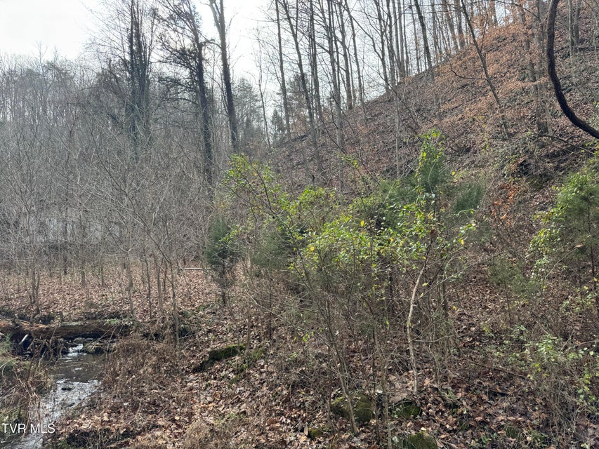 Photo #9: 3713 Manville Road