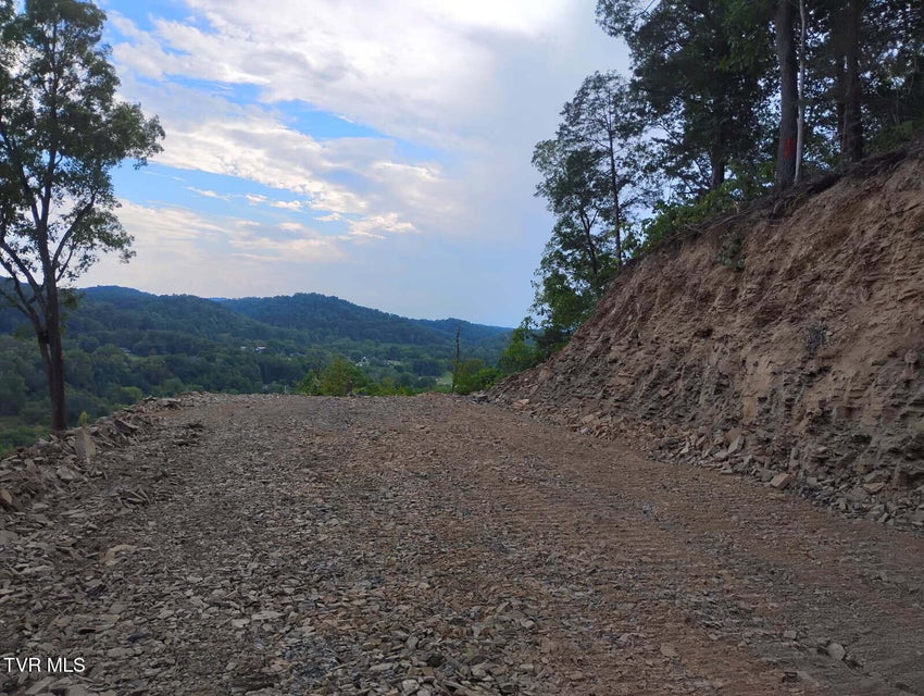 Photo #23: Lot 1 Herb Hodge Road