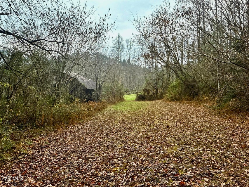 Photo #12: 4035 Lindsey Gap Road