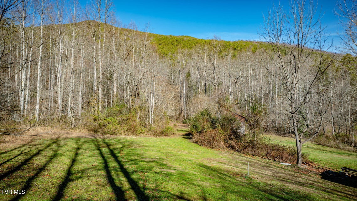 Photo #10: 4035 Lindsey Gap Road