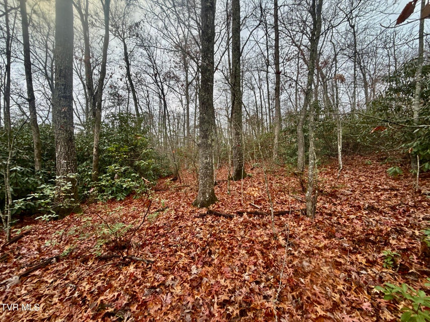 Photo #11: 4035 Lindsey Gap Road