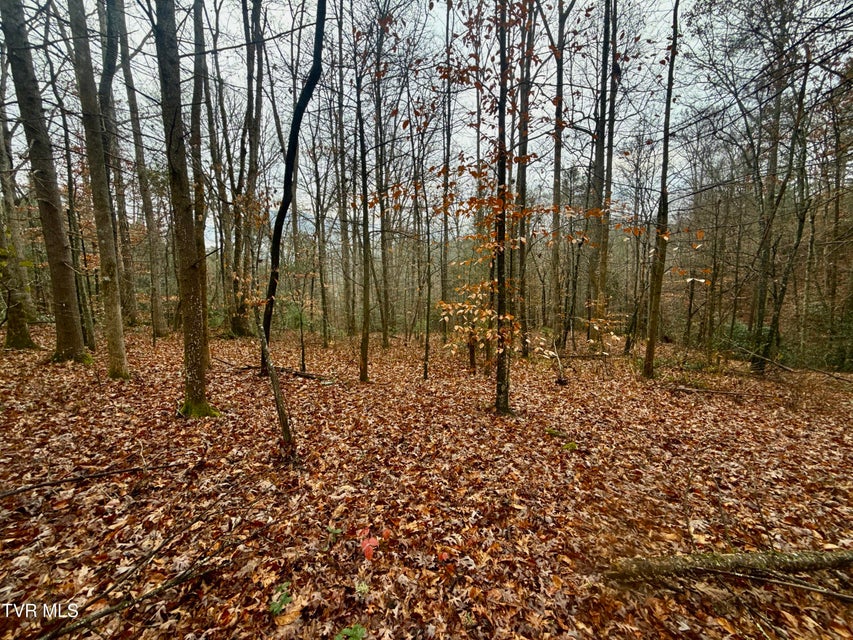 Photo #13: 4035 Lindsey Gap Road