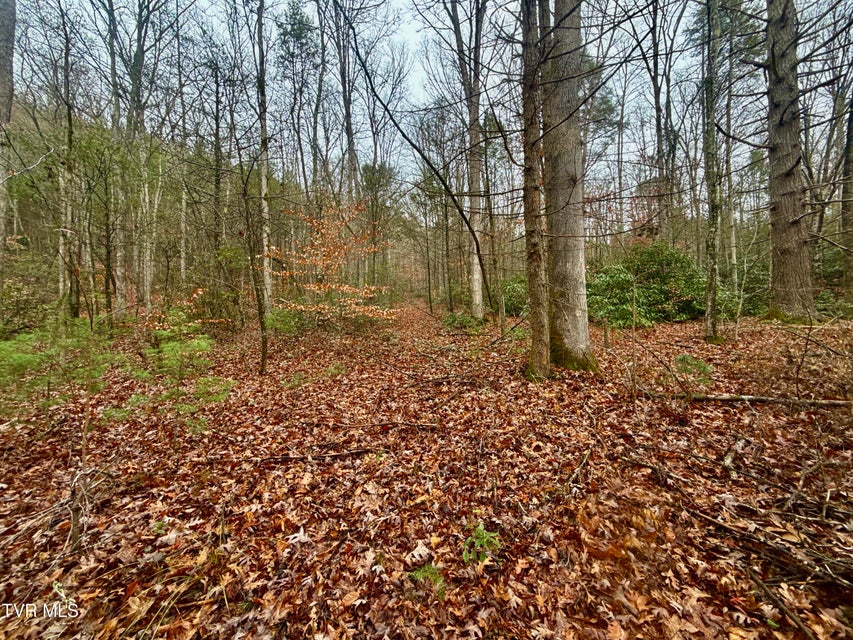 Photo #15: 4035 Lindsey Gap Road