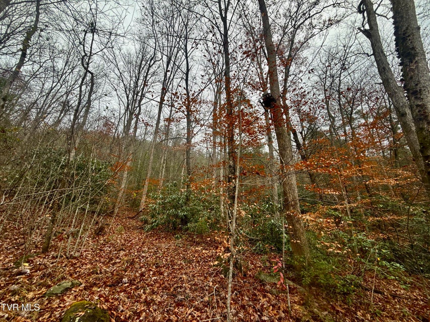 Photo #16: 4035 Lindsey Gap Road