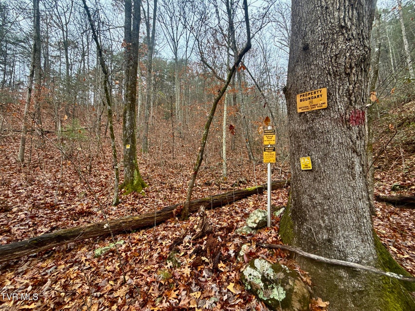 Photo #17: 4035 Lindsey Gap Road