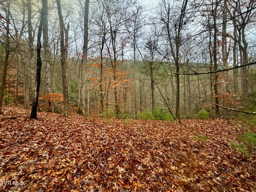 Photo #20: 4035 Lindsey Gap Road