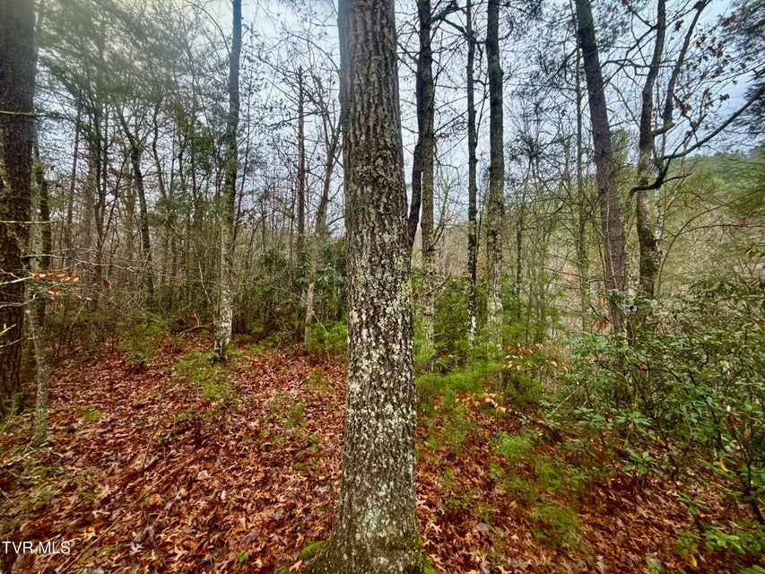 Photo #21: 4035 Lindsey Gap Road