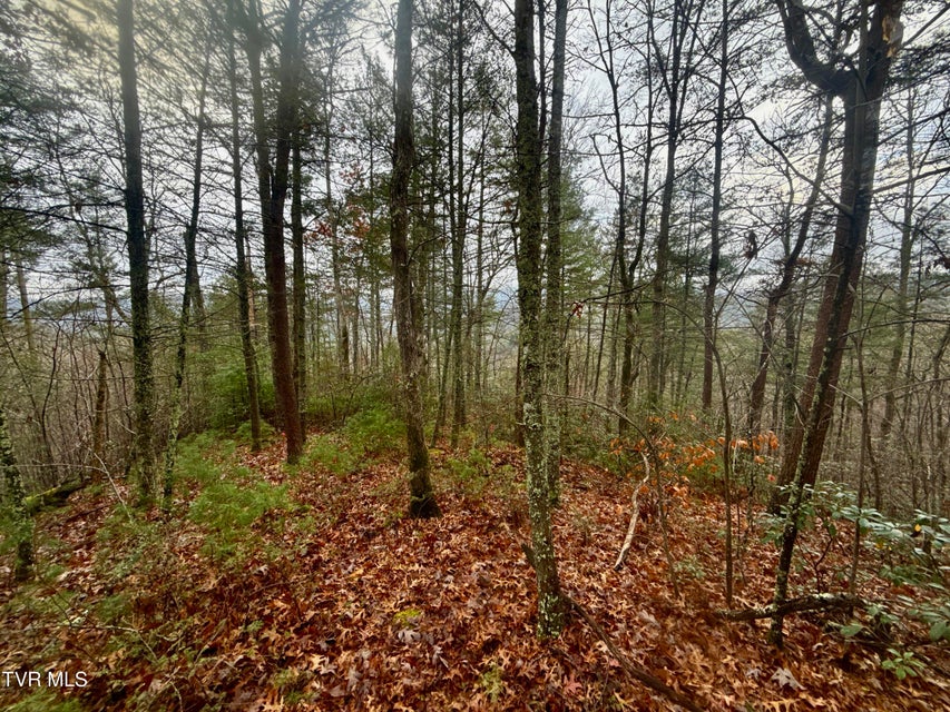 Photo #22: 4035 Lindsey Gap Road