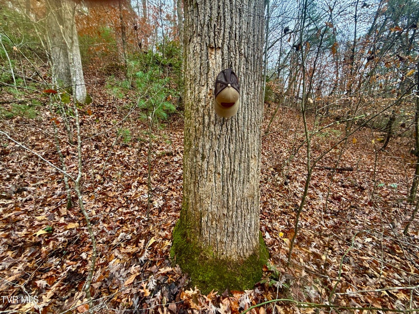 Photo #24: 4035 Lindsey Gap Road