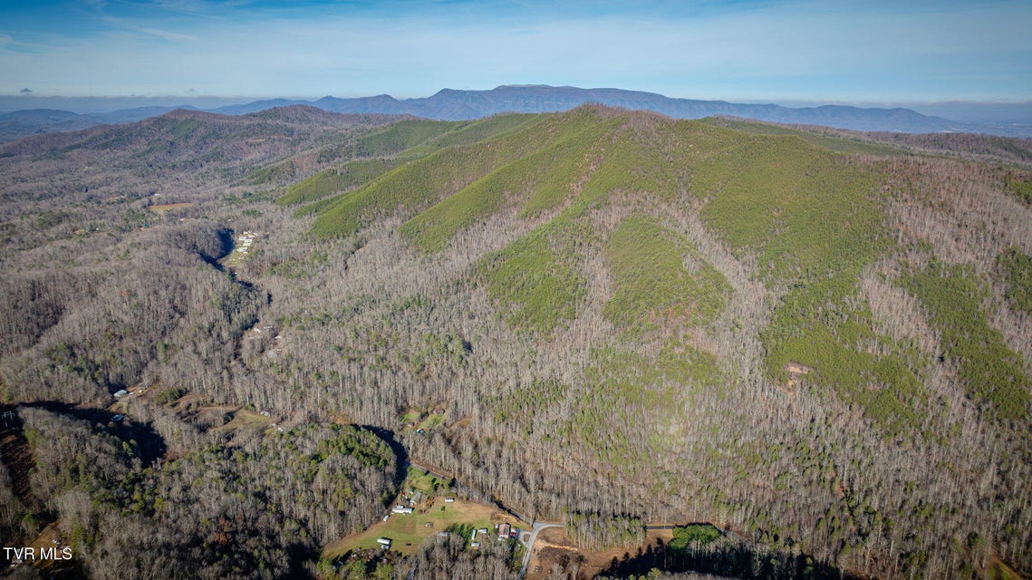 Photo #31: 4035 Lindsey Gap Road