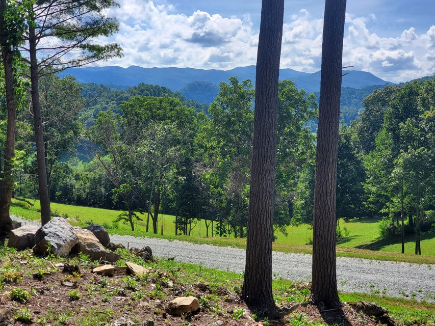 Photo #2: Lot 11 Draft Road