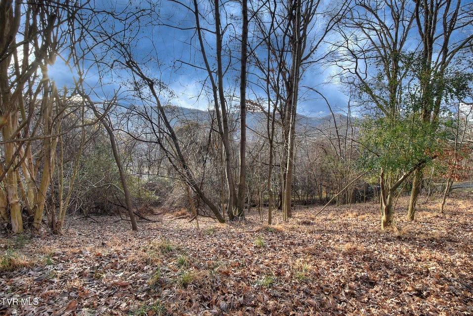 Photo #39: 143 Horton Ridge Road