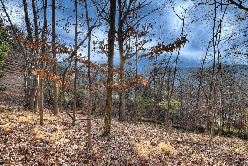 Photo #40: 143 Horton Ridge Road